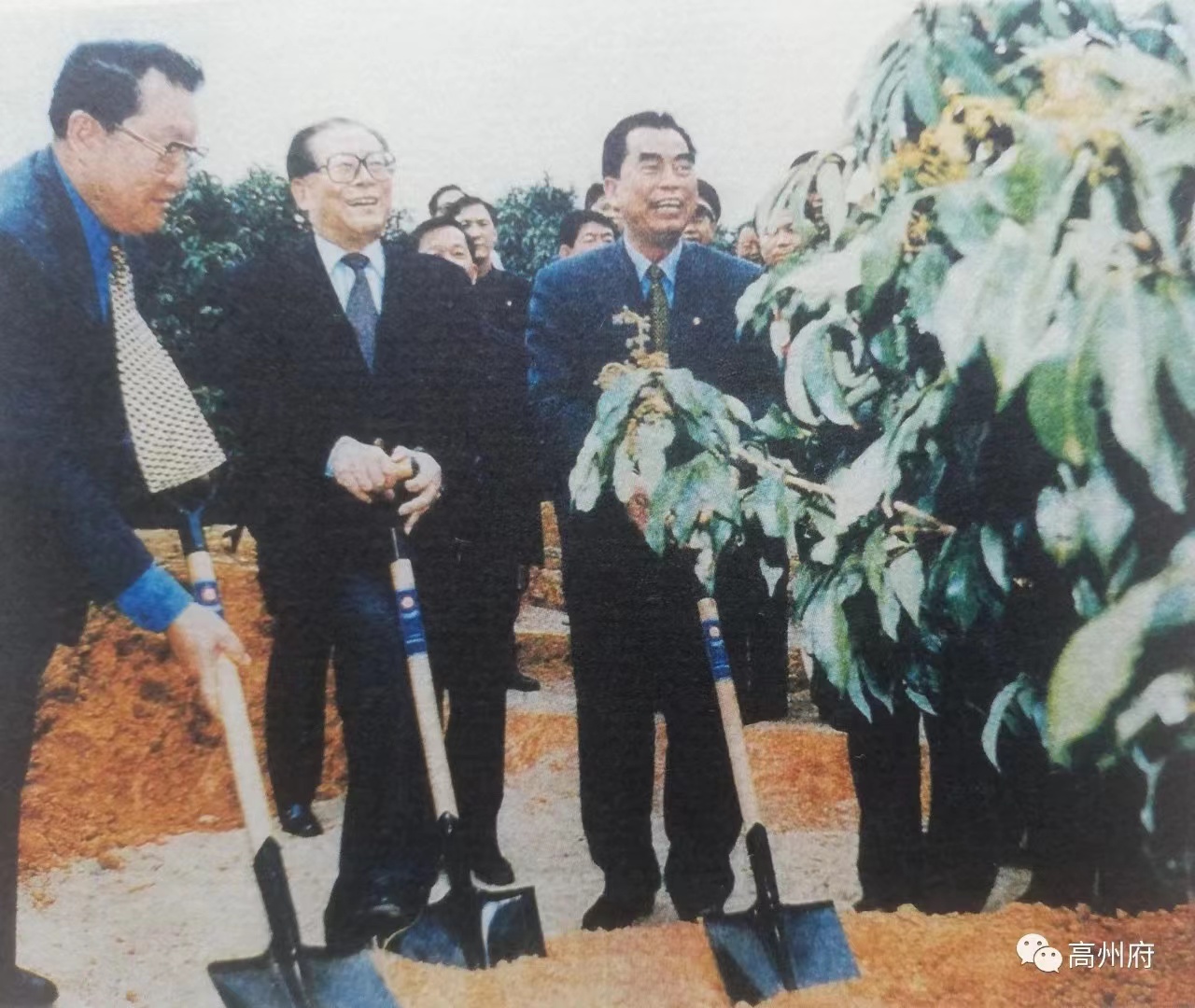 星空网页版登录入口电保-中国荔枝博物馆智慧用电改造